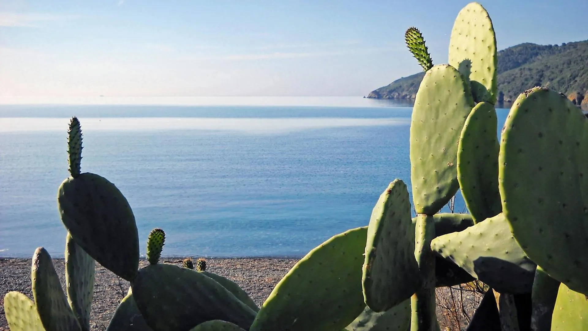 Hotel Capo Sud Lacona